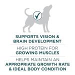 Purina ONE Large Breed Puppy Dry Food - 40 Lbs