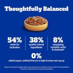 Pedigree Country Stew Dog Food - 12 Pack