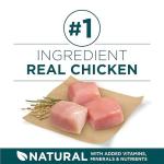 Purina ONE Natural Puppy Food - Variety Pack