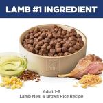 Hill's Science Diet Lamb & Brown Rice Dog Food
