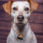 Copper and Metal Dog Bells for Hunting