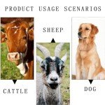 Brass Grazing Bells for Upland Bird Hunting