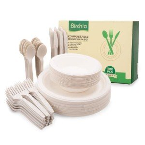 Biodegradable Dinnerware Set with Extra Long Utensils