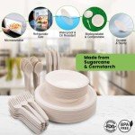 Biodegradable Dinnerware Set with Extra Long Utensils