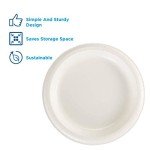 Dixie Basic 8.5" Lightweight White Paper Plates