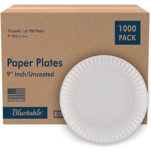 Bulk 9 Inch Uncoated White Paper Plates - 1000 Count