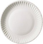Bulk 9 Inch Uncoated White Paper Plates - 1000 Count