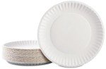 Bulk 9 Inch Uncoated White Paper Plates - 1000 Count