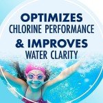 ARM & HAMMER Swimming Pool pH Maintenance Tablets