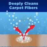 OxiClean 64 oz Large Area Carpet Cleaner