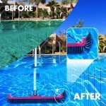 Premium Pool Brush Head for Fast Cleaning
