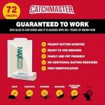 Max Catch Scented Sticky Traps for Rodents
