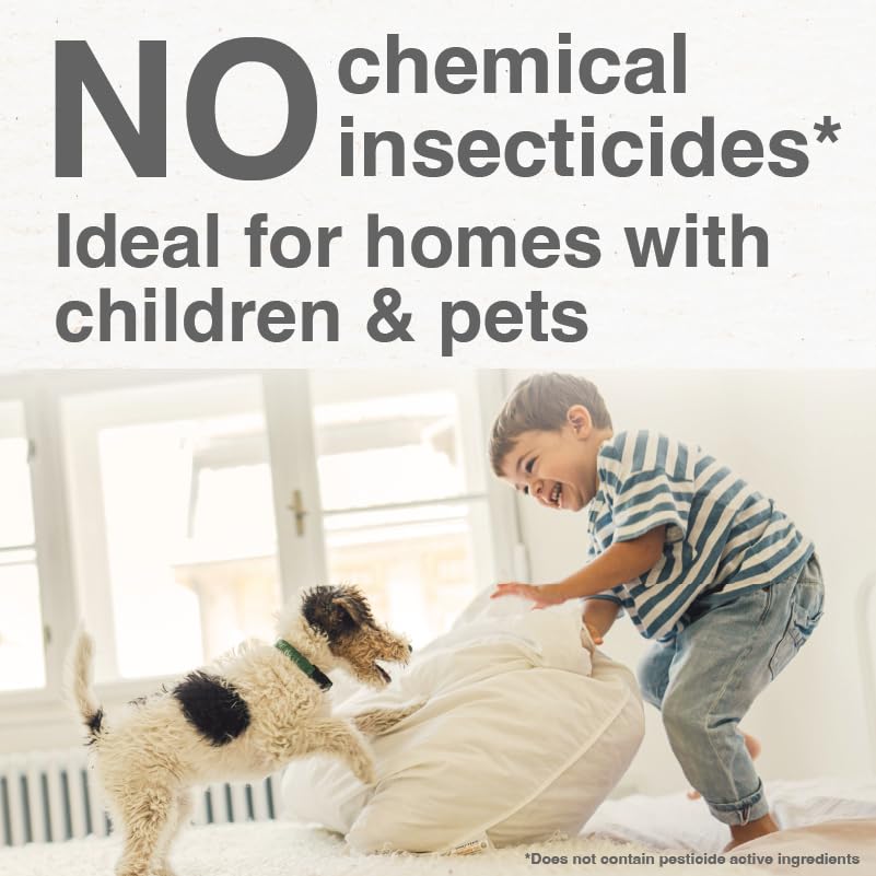 Indoor Flying Insect Trap - Safe Natural Solution
