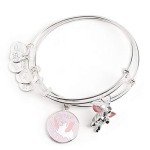 Disney Parks Dumbo Bangle Bracelet Set