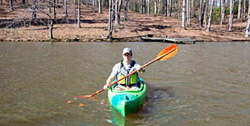Perception Flash 9.5 Sit Inside Kayak for Fishing
