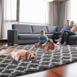 Dark Grey/White Soft Shag Area Rug 5x7 Feet
