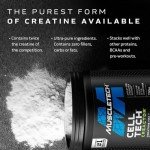 MuscleTech Cell Tech Creactor Creatine HCL Powder