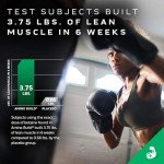 Amino Build BCAA Powder for Intra Workout Energy