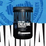 Micronized Creatine Monohydrate Powder for Muscle Growth