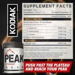 Kodiak Peak Post Workout: BCAA & Creatine 30 Servings