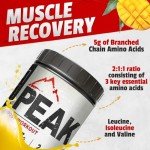 Kodiak Peak Post Workout: BCAA & Creatine 30 Servings