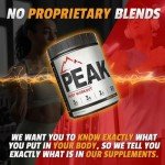 Kodiak Peak Post Workout: BCAA & Creatine 30 Servings