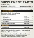 Kodiak Peak Post Workout: BCAA & Creatine 30 Servings