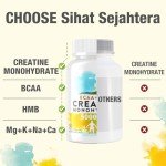 Creatine Chews with BCAA & HMB - Lemon Flavor