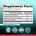 Creatine Monohydrate Powder with Collagen & BCAA