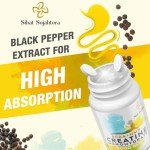 Creatine Chews with BCAA & HMB - Lemon Flavor