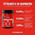 Six Star Creatine X3 BCAA Amino Powder, Fruit Punch