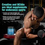 VIFSSG Sugar-Free Creatine Gummies with BCAA