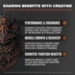Birdman Falcon Vegan Protein Powder – 31g Protein