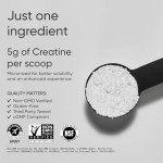 Creatine Monohydrate for Muscle Gain & Recovery
