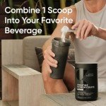 Creatine Monohydrate for Muscle Gain & Recovery