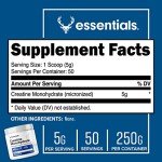 Bucked Up Micronized Creatine Monohydrate 250g