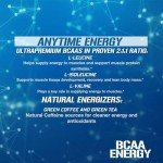 Evlution Nutrition BCAA Powder – Blue Raspberry Energy