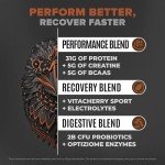 Birdman Falcon Vegan Protein Powder – 31g Protein