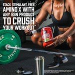 BSN Amino X - Endurance & Recovery Blend