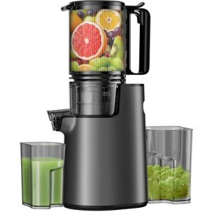 LQZ Cold Press Juicer,Slow Masticating Juicer Machines,4.3"" Large Bore Feed Chute Fit Whole Vegetables and Fruits,350W Juice Extractor Machine,Easy to Clean Juicer(Black), MEDIUM