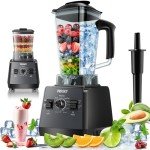 PRASKY 2400W Professional Blender & Grinder Combo