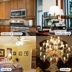 YBEK E17 LED Bulbs for Microwaves and Stoves