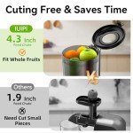 Cold Press Juicer with 4.3'' Feed Chute