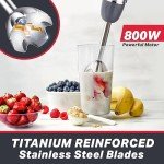 Mueller 800W 3-in-1 Immersion Blender with Whisk