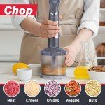 Mueller 800W 3-in-1 Immersion Blender with Whisk