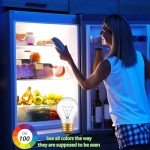High Temp 300°C Oven Bulb, 2 Pack