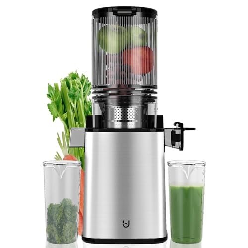 350W Slow Cold Press Masticating Juicer Machine