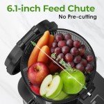 350W Slow Cold Press Masticating Juicer Machine