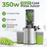350W Slow Cold Press Masticating Juicer Machine