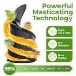 350W Slow Cold Press Masticating Juicer Machine